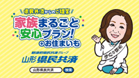 家族まるごと安心プラン
